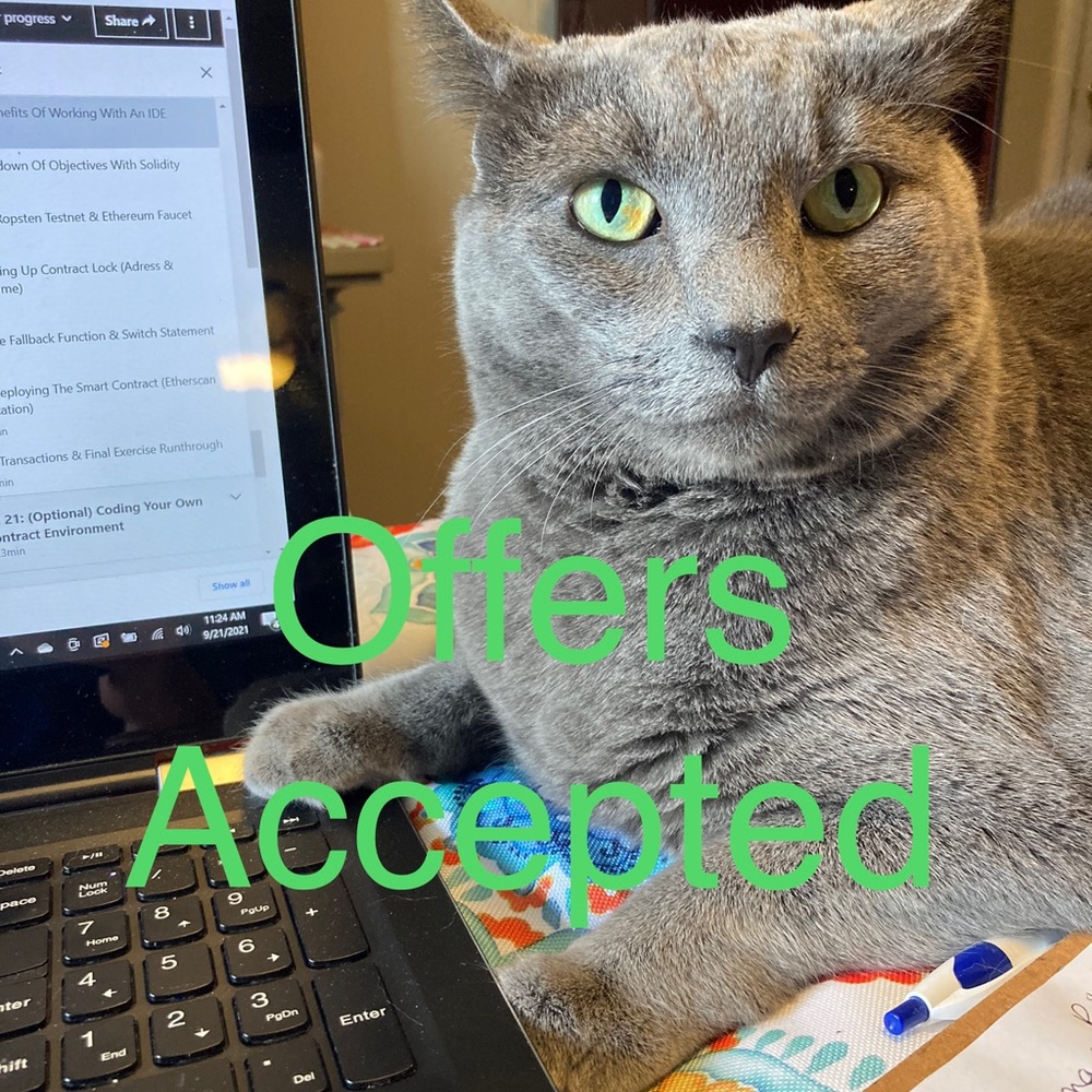 Make me an offer on anything!